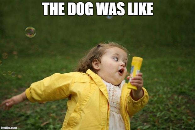 girl running | THE DOG WAS LIKE | image tagged in girl running | made w/ Imgflip meme maker