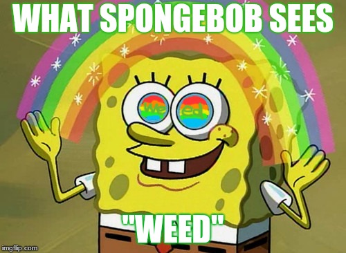 Imagination Spongebob | WHAT SPONGEBOB SEES; "WEED" | image tagged in memes,imagination spongebob | made w/ Imgflip meme maker