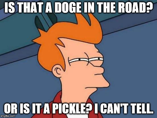 Futurama Fry | IS THAT A DOGE IN THE ROAD? OR IS IT A PICKLE? I CAN'T TELL. | image tagged in memes,futurama fry | made w/ Imgflip meme maker