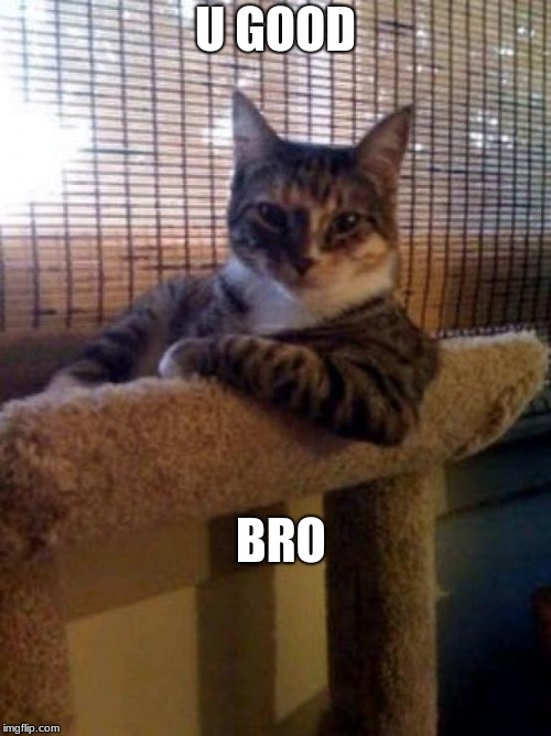 The Most Interesting Cat In The World | U GOOD; BRO | image tagged in memes,the most interesting cat in the world | made w/ Imgflip meme maker