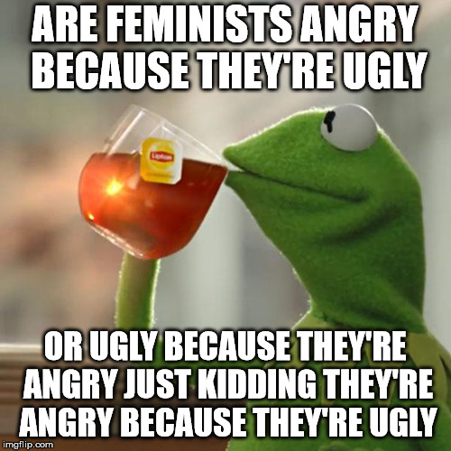 feminists | ARE FEMINISTS ANGRY BECAUSE THEY'RE UGLY OR UGLY BECAUSE THEY'RE ANGRY JUST KIDDING THEY'RE ANGRY BECAUSE THEY'RE UGLY | image tagged in memes,but thats none of my business,kermit the frog | made w/ Imgflip meme maker