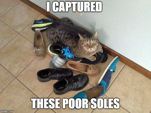 devil cat | I CAPTURED; THESE POOR SOLES | image tagged in grumpy cat | made w/ Imgflip meme maker