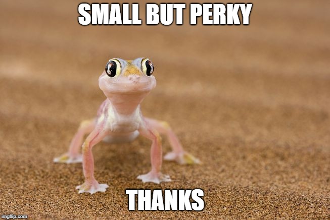 SMALL BUT PERKY THANKS | made w/ Imgflip meme maker