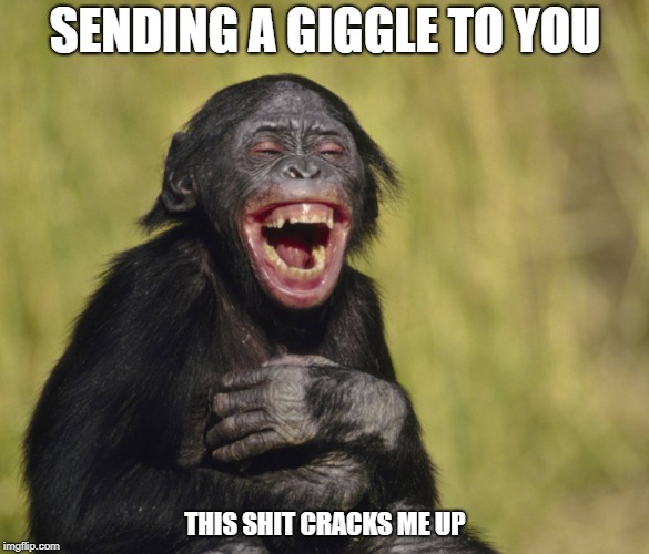 SENDING A GIGGLE TO YOU; THIS SHIT CRACKS ME UP | image tagged in have a better day,giggle,laughing chimp,sending a giggle to you,shit cracks me up | made w/ Imgflip meme maker