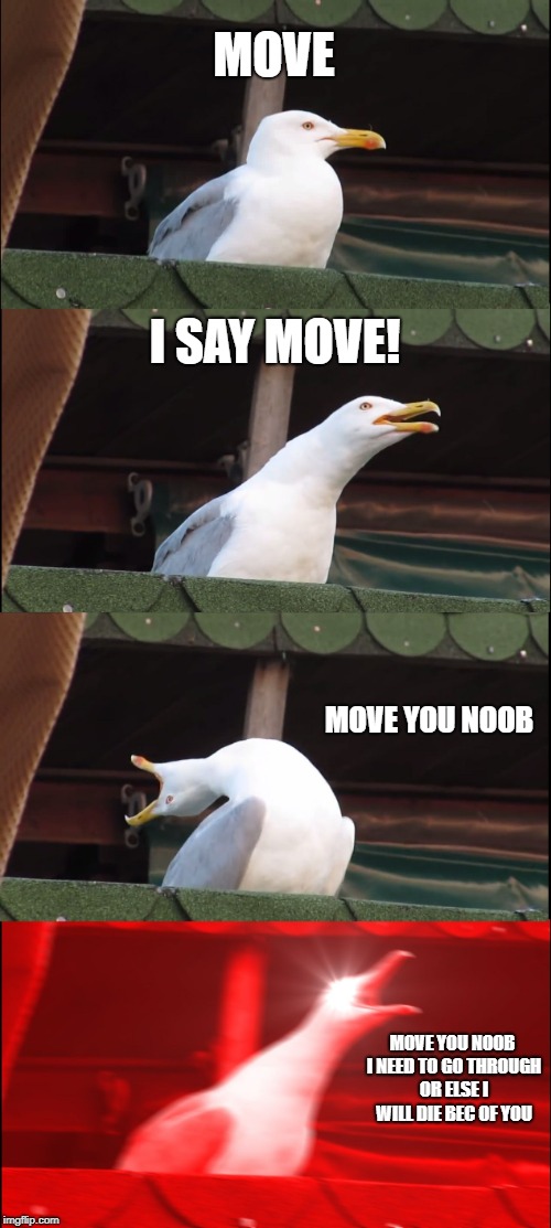 me when my teammate blocking way by himself | MOVE; I SAY MOVE! MOVE YOU NOOB; MOVE YOU NOOB I NEED TO GO THROUGH OR ELSE I WILL DIE BEC OF YOU | image tagged in memes,inhaling seagull | made w/ Imgflip meme maker