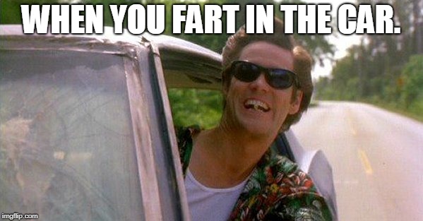 Head out the window | WHEN YOU FART IN THE CAR. | image tagged in head out the window | made w/ Imgflip meme maker