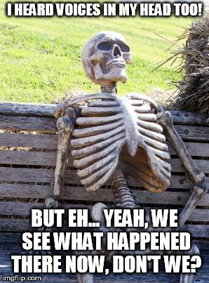 Waiting Skeleton | I HEARD VOICES IN MY HEAD TOO! BUT EH... YEAH, WE SEE WHAT HAPPENED THERE NOW, DON'T WE? | image tagged in memes,waiting skeleton | made w/ Imgflip meme maker