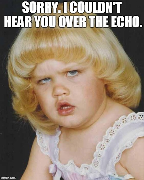 Huh | SORRY. I COULDN'T HEAR YOU OVER THE ECHO. | image tagged in huh | made w/ Imgflip meme maker