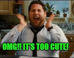 excited | OMG!! IT'S TOO CUTE! | image tagged in excited | made w/ Imgflip meme maker