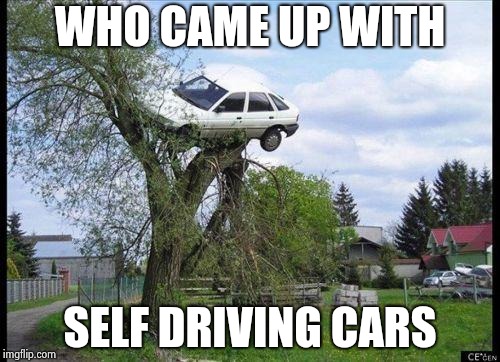 car in tree | WHO CAME UP WITH SELF DRIVING CARS | image tagged in car in tree | made w/ Imgflip meme maker