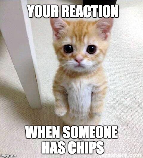 Cute Cat Meme | YOUR REACTION; WHEN SOMEONE HAS CHIPS | image tagged in memes,cute cat | made w/ Imgflip meme maker