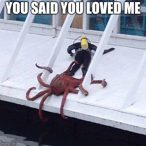 octopus | YOU SAID YOU LOVED ME | image tagged in octopus | made w/ Imgflip meme maker