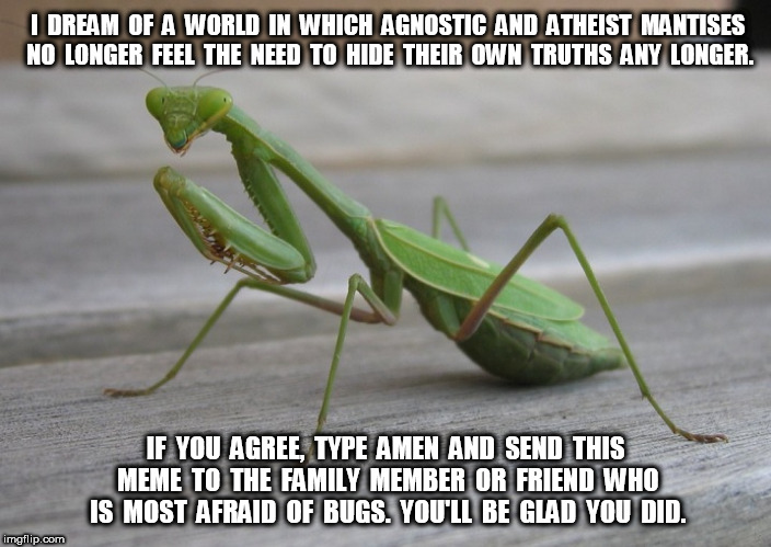 Agnostic and Atheist Praying Mantises | I  DREAM  OF  A  WORLD  IN  WHICH  AGNOSTIC  AND  ATHEIST  MANTISES NO  LONGER  FEEL  THE  NEED  TO  HIDE  THEIR  OWN  TRUTHS  ANY  LONGER. IF  YOU  AGREE,  TYPE  AMEN  AND  SEND  THIS  MEME  TO  THE  FAMILY  MEMBER  OR  FRIEND  WHO  IS  MOST  AFRAID  OF  BUGS.  YOU'LL  BE  GLAD  YOU  DID. | image tagged in agnostic,atheist,praying,praying mantis | made w/ Imgflip meme maker
