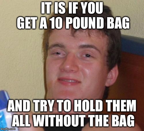 10 Guy Meme | IT IS IF YOU GET A 10 POUND BAG AND TRY TO HOLD THEM ALL WITHOUT THE BAG | image tagged in memes,10 guy | made w/ Imgflip meme maker