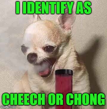 I IDENTIFY AS CHEECH OR CHONG | made w/ Imgflip meme maker