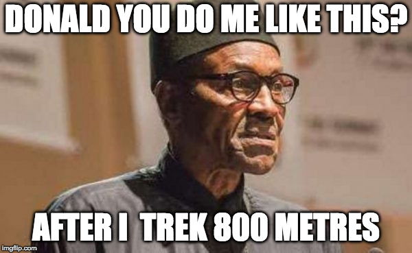 DONALD YOU DO ME LIKE THIS? AFTER I  TREK 800 METRES | image tagged in buhari,lifeless,nigeria,trumpcallsnigerianpresidentlifeless | made w/ Imgflip meme maker