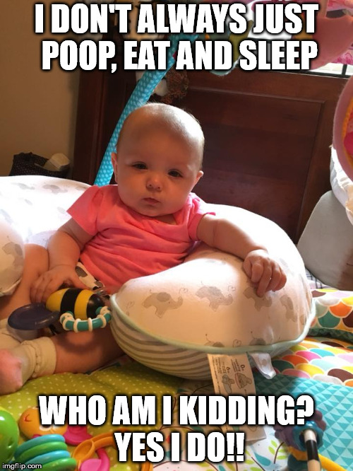 Willow Meme | I DON'T ALWAYS JUST POOP, EAT AND SLEEP; WHO AM I KIDDING? YES I DO!! | image tagged in baby | made w/ Imgflip meme maker