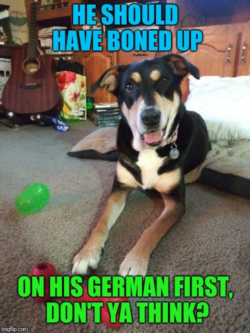 HE SHOULD HAVE BONED UP ON HIS GERMAN FIRST, DON'T YA THINK? | made w/ Imgflip meme maker