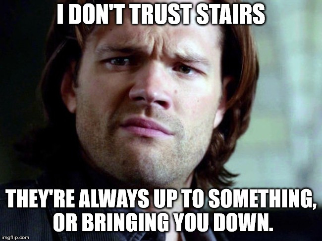 stairs and their ulterior motives... | I DON'T TRUST STAIRS; THEY'RE ALWAYS UP TO SOMETHING, OR BRINGING YOU DOWN. | image tagged in dont judge me | made w/ Imgflip meme maker