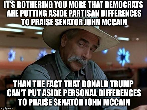 That is a special kind of stupid | IT'S BOTHERING YOU MORE THAT DEMOCRATS ARE PUTTING ASIDE PARTISAN DIFFERENCES TO PRAISE SENATOR JOHN MCCAIN; THAN THE FACT THAT DONALD TRUMP CAN'T PUT ASIDE PERSONAL DIFFERENCES TO PRAISE SENATOR JOHN MCCAIN | image tagged in special kind of stupid,trump,john mccain,pettiness,hypocrisy | made w/ Imgflip meme maker