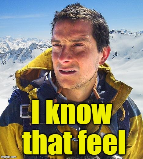Bear Grylls Meme | I know that feel | image tagged in memes,bear grylls | made w/ Imgflip meme maker