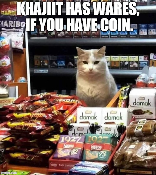 KHAJIIT HAS WARES, IF YOU HAVE COIN. | image tagged in cat stand | made w/ Imgflip meme maker