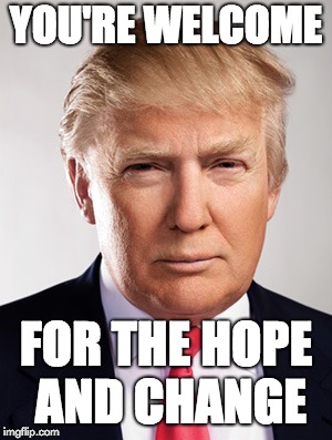 Donald Trump | YOU'RE WELCOME; FOR THE HOPE AND CHANGE | image tagged in donald trump | made w/ Imgflip meme maker