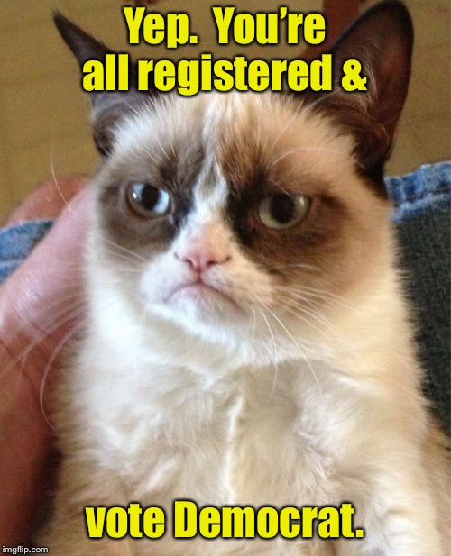 Grumpy Cat Meme | Yep.  You’re all registered & vote Democrat. | image tagged in memes,grumpy cat | made w/ Imgflip meme maker