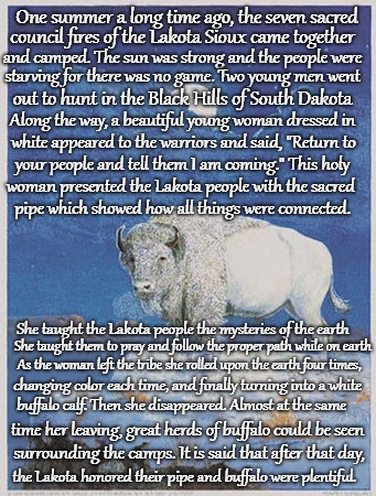 The Legend of the White Buffalo | One summer a long time ago, the seven sacred; council fires of the Lakota Sioux came together; and camped. The sun was strong and the people were; starving for there was no game. Two young men went; out to hunt in the Black Hills of South Dakota; Along the way, a beautiful young woman dressed in; white appeared to the warriors and said, "Return to; your people and tell them I am coming." This holy; woman presented the Lakota people with the sacred; pipe which showed how all things were connected. She taught the Lakota people the mysteries of the earth; She taught them to pray and follow the proper path while on earth; As the woman left the tribe she rolled upon the earth four times, changing color each time, and finally turning into a white; buffalo calf. Then she disappeared. Almost at the same; time her leaving, great herds of buffalo could be seen; surrounding the camps. It is said that after that day, the Lakota honored their pipe and buffalo were plentiful. | image tagged in native american,nativa americans,indians,chief,indian chiefs,tribe | made w/ Imgflip meme maker