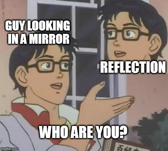 Is this a pigeon? | GUY LOOKING IN A MIRROR; REFLECTION; WHO ARE YOU? | image tagged in memes,is this a pigeon | made w/ Imgflip meme maker