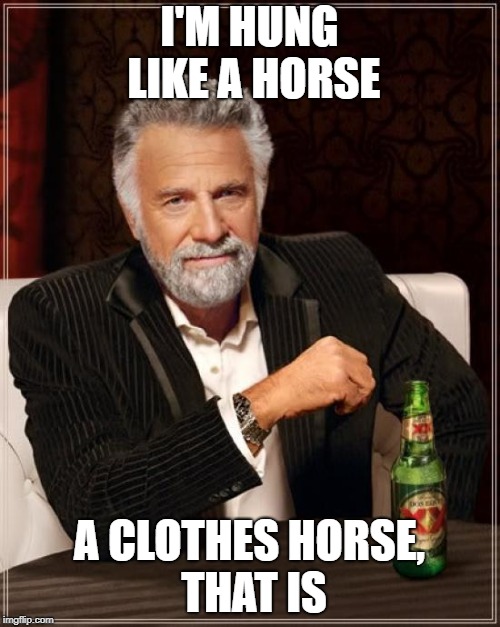The Most Interesting Man In The World Meme | I'M HUNG LIKE A HORSE A CLOTHES HORSE, THAT IS | image tagged in memes,the most interesting man in the world | made w/ Imgflip meme maker