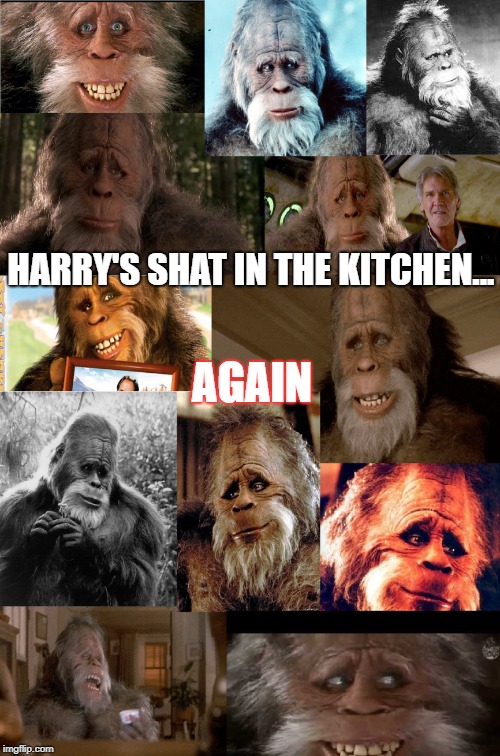 Harry and the Hendersons | HARRY'S SHAT IN THE KITCHEN... AGAIN | image tagged in harry and the hendersons,oh shit | made w/ Imgflip meme maker