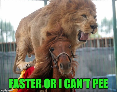 FASTER OR I CAN'T PEE | made w/ Imgflip meme maker