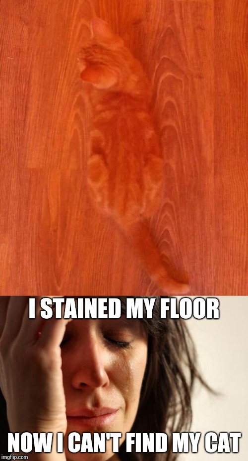 Bare as a hardwood floor | I STAINED MY FLOOR; NOW I CAN'T FIND MY CAT | image tagged in cat,first world problems,camouflage,pipe_picasso | made w/ Imgflip meme maker