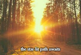the star-lit path awaits | image tagged in suntrees | made w/ Imgflip meme maker