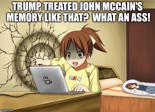 Breaking The Wall! | TRUMP TREATED JOHN MCCAIN'S MEMORY LIKE THAT?  WHAT AN ASS! | image tagged in anime wall punch | made w/ Imgflip meme maker
