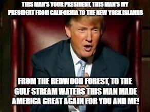MAGA |  THIS MAN'S YOUR PRESIDENT, THIS MAN'S MY PRESIDENT FROM CALIFORNIA TO THE NEW YORK ISLANDS; FROM THE REDWOOD FOREST, TO THE GULF STREAM WATERS THIS MAN MADE AMERICA GREAT AGAIN FOR YOU AND ME! | image tagged in donald trump | made w/ Imgflip meme maker