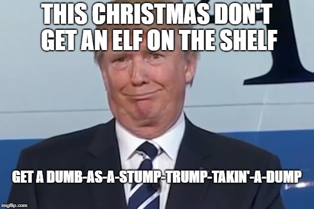donald trump |  THIS CHRISTMAS DON'T GET AN ELF ON THE SHELF; GET A DUMB-AS-A-STUMP-TRUMP-TAKIN'-A-DUMP | image tagged in donald trump | made w/ Imgflip meme maker