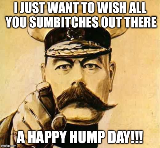 Your Country Needs YOU | I JUST WANT TO WISH ALL YOU SUMBITCHES OUT THERE; A HAPPY HUMP DAY!!! | image tagged in your country needs you | made w/ Imgflip meme maker