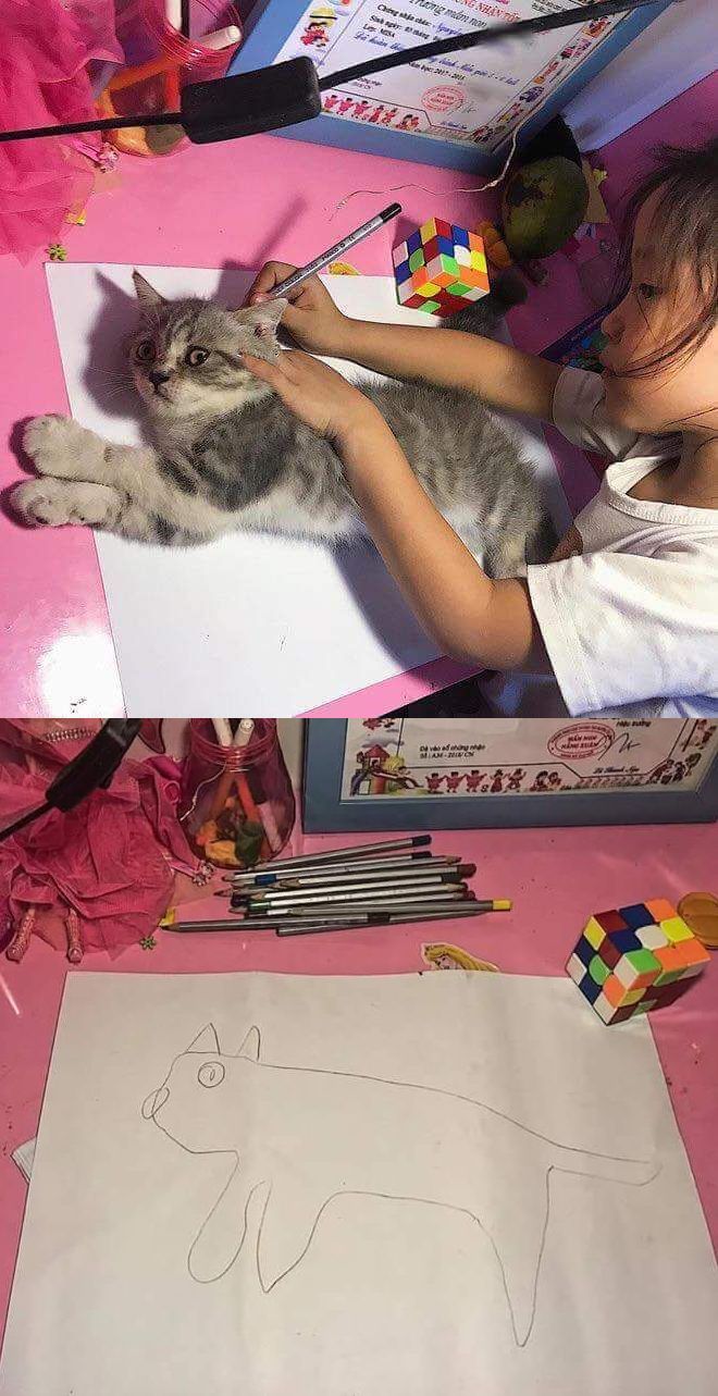 High Quality Drawing Cat Blank Meme Template