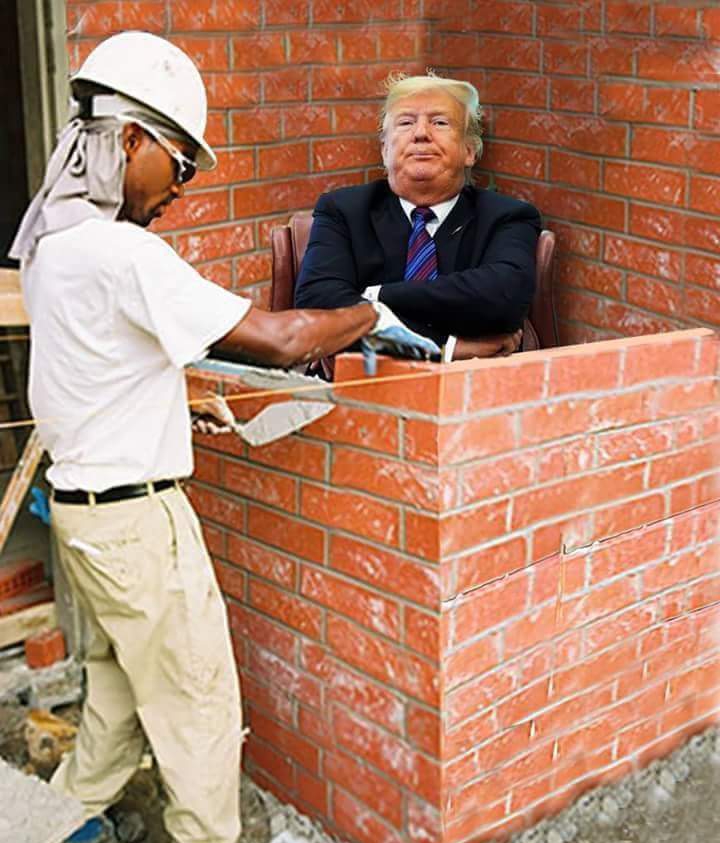 Trump Wall Blank Meme Template