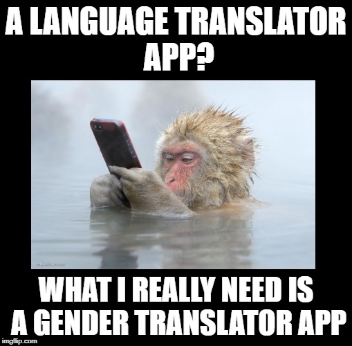 Hey, since we now have face recognition technology and all... | A LANGUAGE TRANSLATOR APP? WHAT I REALLY NEED IS A GENDER TRANSLATOR APP | image tagged in funny memes,iphone,smartphone,transgender,gender identity | made w/ Imgflip meme maker