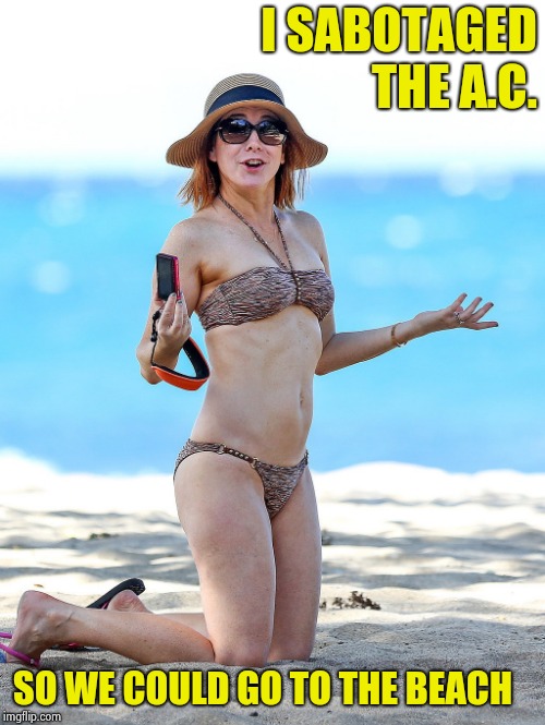 Alyson Hannigan | I SABOTAGED THE A.C. SO WE COULD GO TO THE BEACH | image tagged in alyson hannigan | made w/ Imgflip meme maker