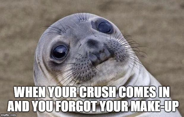 Awkward Moment Sealion | WHEN YOUR CRUSH COMES IN AND YOU FORGOT YOUR MAKE-UP | image tagged in memes,awkward moment sealion | made w/ Imgflip meme maker