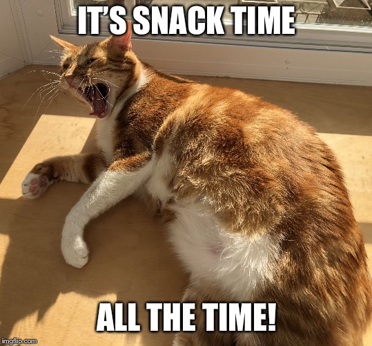 Fat Cat Scream | IT’S SNACK TIME; ALL THE TIME! | image tagged in fat cat scream | made w/ Imgflip meme maker