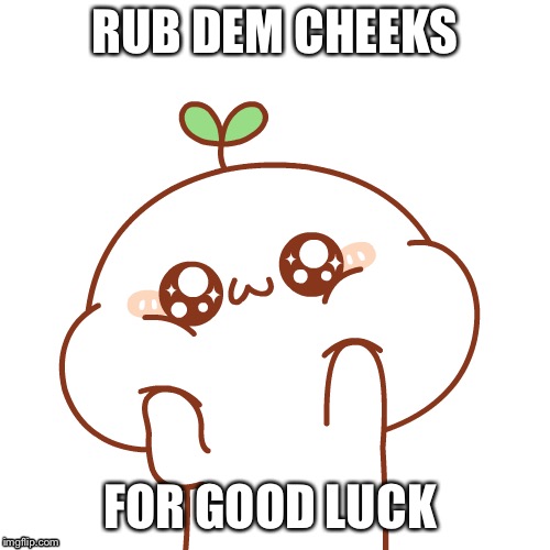 RUB DEM CHEEKS; FOR GOOD LUCK | image tagged in cute | made w/ Imgflip meme maker