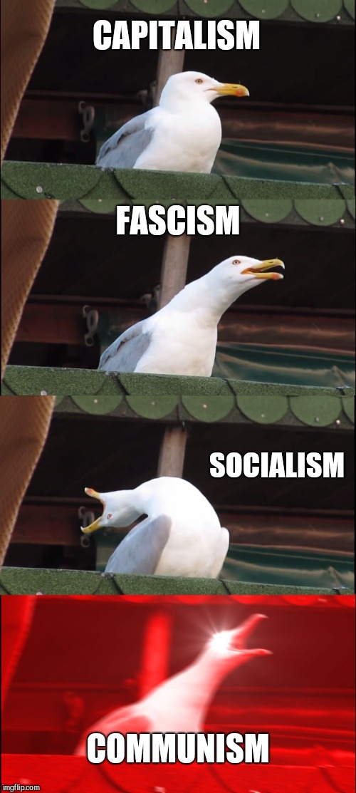 Inhaling Seagull Meme | CAPITALISM; FASCISM; SOCIALISM; COMMUNISM | image tagged in memes,inhaling seagull | made w/ Imgflip meme maker