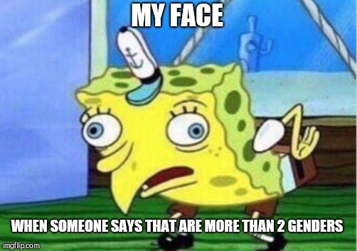 Mocking Spongebob Meme |  MY FACE; WHEN SOMEONE SAYS THAT ARE MORE THAN 2 GENDERS | image tagged in memes,mocking spongebob | made w/ Imgflip meme maker