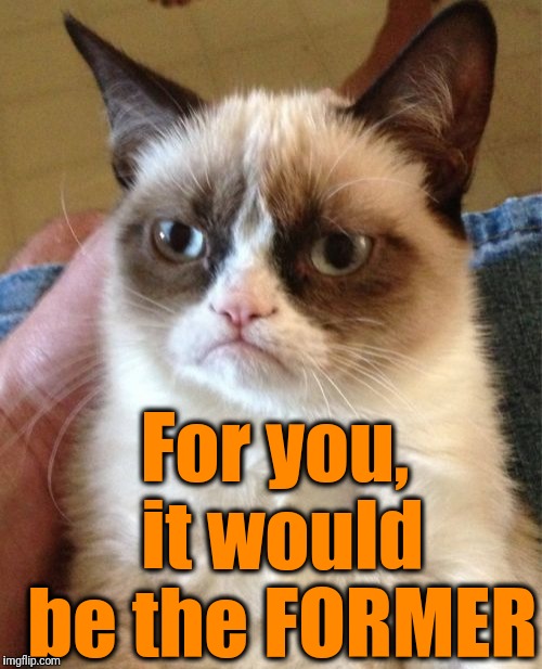 Grumpy Cat Meme | For you, it would be the FORMER | image tagged in memes,grumpy cat | made w/ Imgflip meme maker