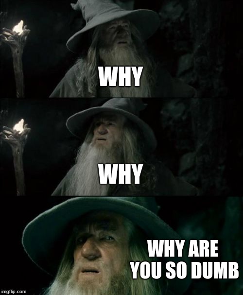 Confused Gandalf | WHY; WHY; WHY ARE YOU SO DUMB | image tagged in memes,confused gandalf | made w/ Imgflip meme maker